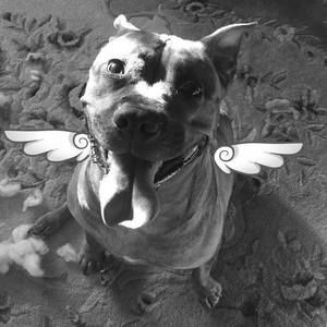 Meet your Posher, Nikki